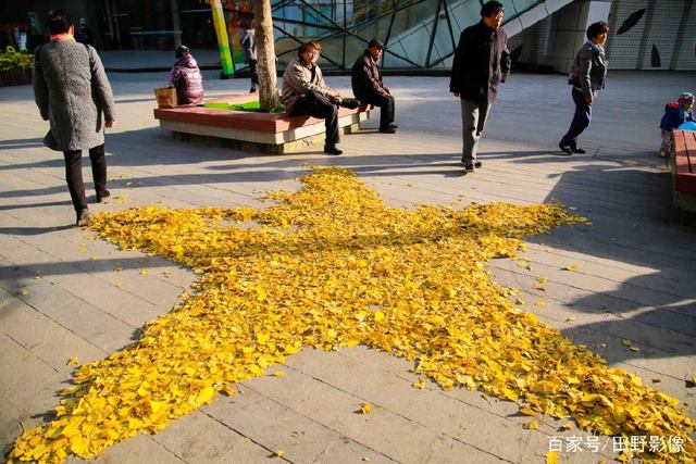 法国杯清晨走向成谜；上海海港刷新队史纪录；悬念犹存；临场指挥获称赞的简单介绍-九游娱乐